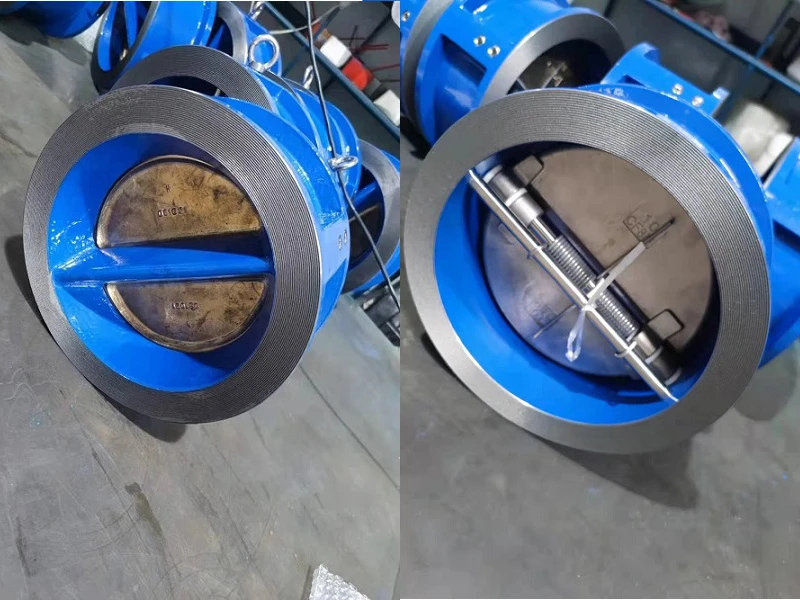 check valve3